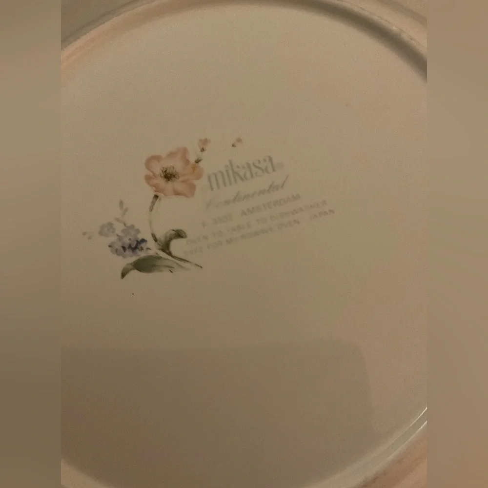 Set of 2 Mikasa Continental Amsterdam F3102 Dinner Plates 10-3/8”